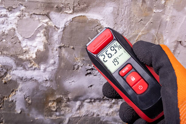 Best Commercial Mold Remediation in Pleasant Hills, OH