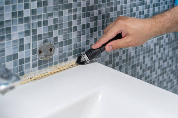 Best Mold Testing and Inspection Services in Pleasant Hills, OH